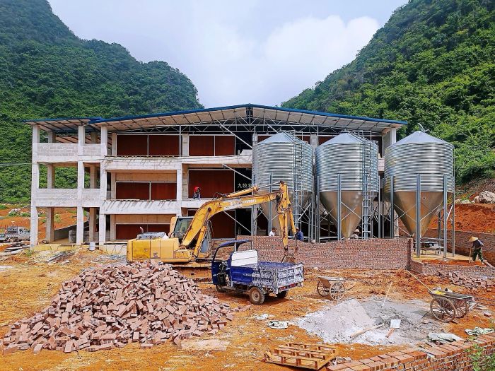 广西横州3层楼高猪场